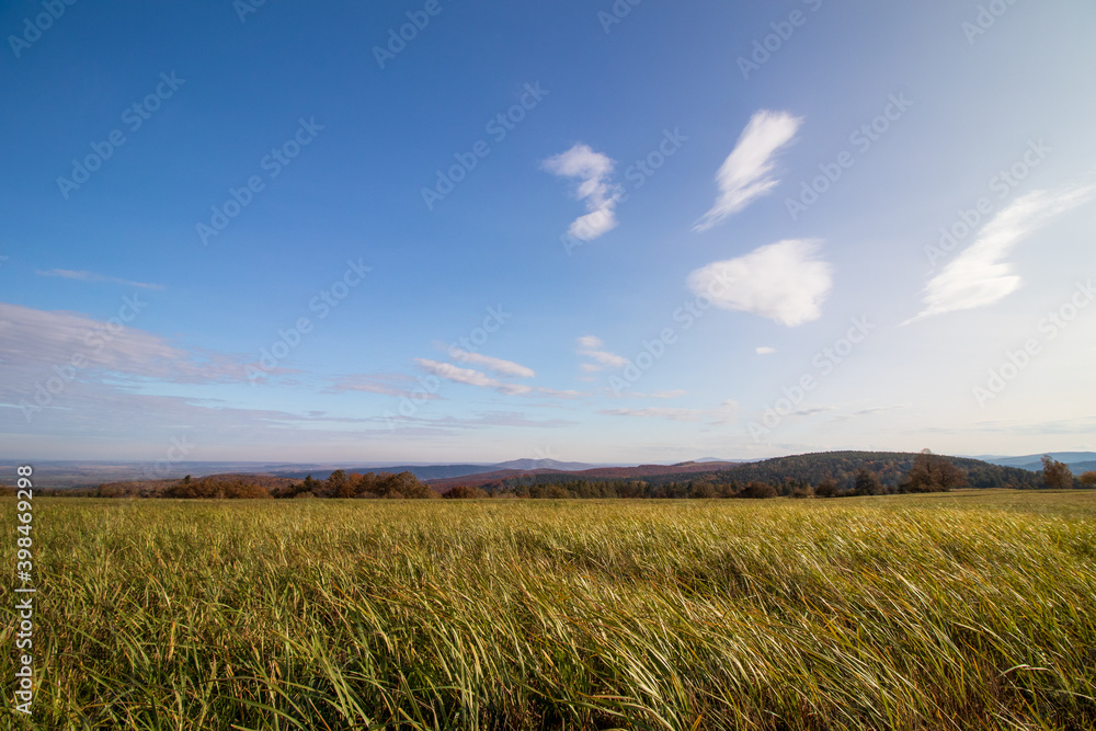 Obraz premium field and blue sky