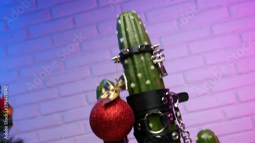 cactus dressed up In accessories for BDSM games on the Christmas table with gifts next to the TV with the image of a girl in a red bodysuit