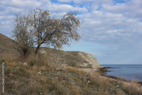 Fototapeta Naklejka Na Ścianę i Meble -  The Crimean Mountains near Feodosia and Ordzhonikidze, the Black Sea, Eastern Crimea.