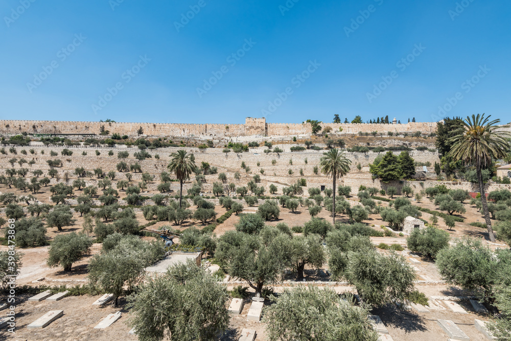 The Kidron Valley,  separating the Temple Mount from the Mount of Olives in Jerusalem, with Jewish graveyard and olive trees, and background of golden gate and wall of the Old City