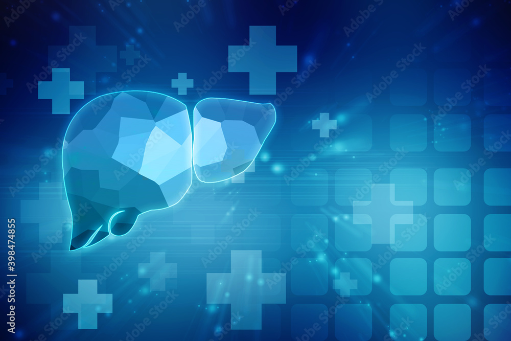 Realistic human liver 2d illustration
Realistic human liver 2d illustration