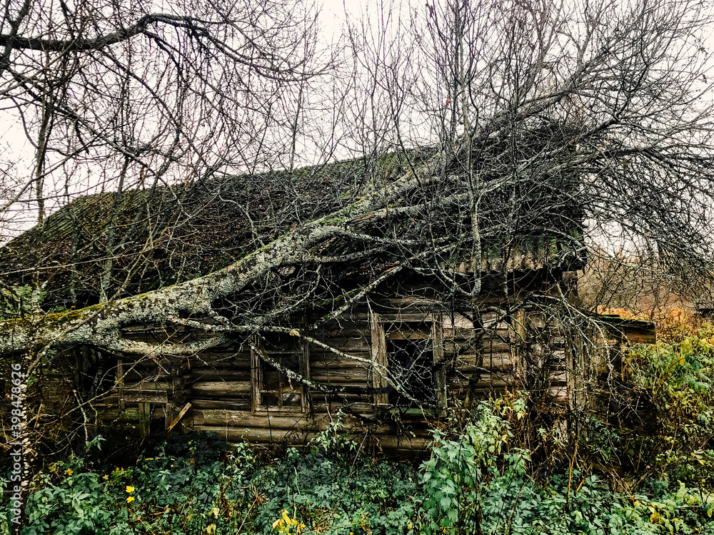 Abandoned ruined rustic wooden house in the village 