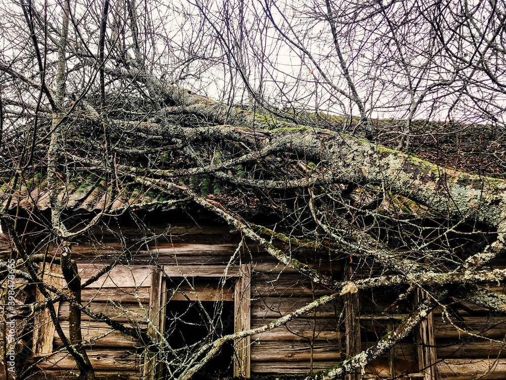 Abandoned ruined rustic wooden house in the village Abandoned ruined rustic wooden house in the village