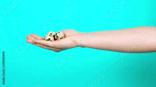 The side hand of a woman holding quail eggs photo
