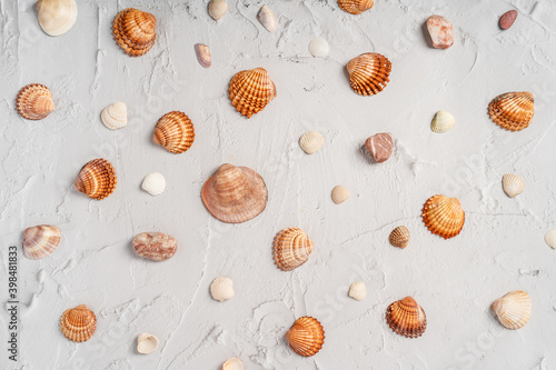 Marble background with sea seashells . Vacation pattern