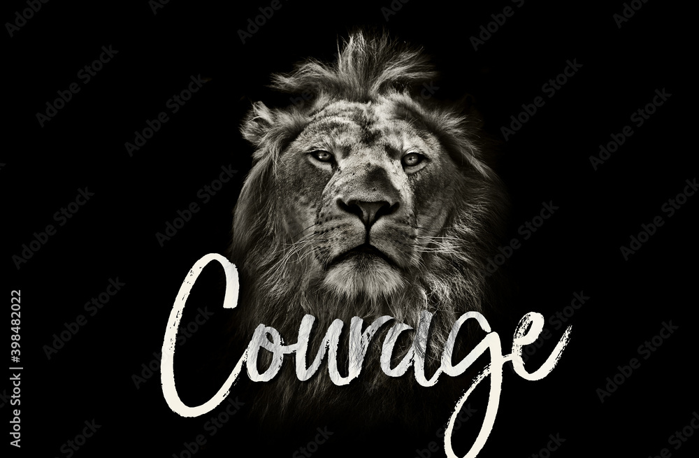 lion, animal, courage, drama, bravery, wild, roar, Aslan, wardrobe
