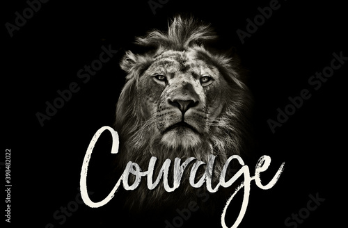 Fototapeta Naklejka Na Ścianę i Meble -  lion, animal, courage, drama, bravery, wild, roar, Aslan, wardrobe, witch, tiger, beast, beauty, black, king, jungle