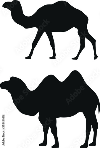 Camels silhouettes. The silhouette for marking the camel in the figure.