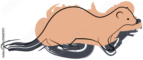 Cute small line ferret with paint spots. Isolated vector illustration
