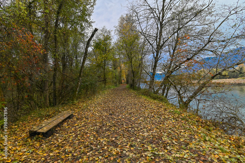 Sentiero che passa attraverso il bosco, in autunno, con suggestivi alberi colorati dei colori dell'autunno.  photo