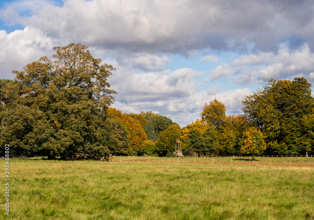 Early autumn colour on trees at Tatton Park, Knutsford, Cheshire, UK Early autumn colour on trees at Tatton Park, Knutsford, Cheshire, UK