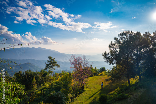 Good view in north of Thailand   Travel to the forest and mountains.