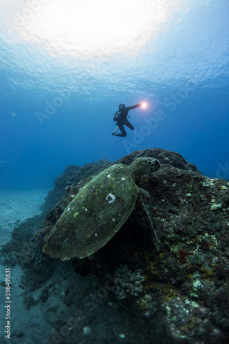Apnéiste descend sur tortue