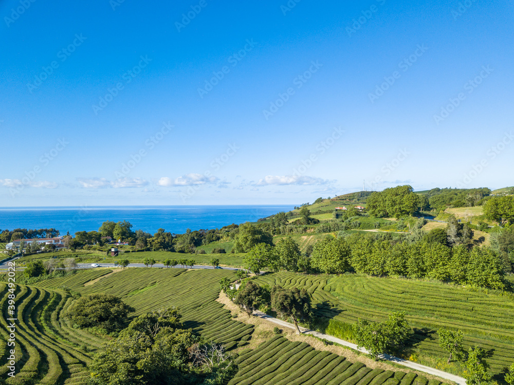 Aerial top view landscape over Tea Plantation of Gorreana (Chá Gorreana). Street path background. São Miguel Island, Azores
