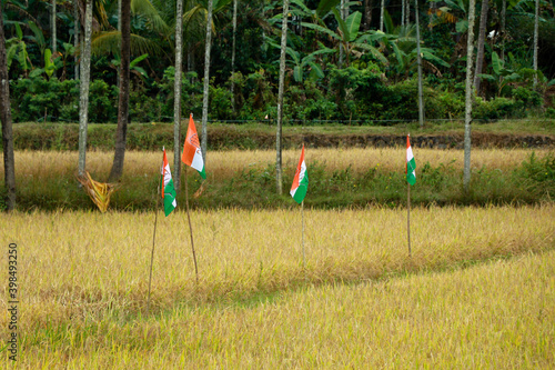 Political party flags place in paddy field for election campaign