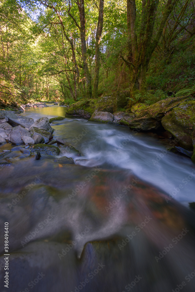 A river comes out of a dark canyon into a bright wooded valley A river comes out of a dark canyon into a bright wooded valley