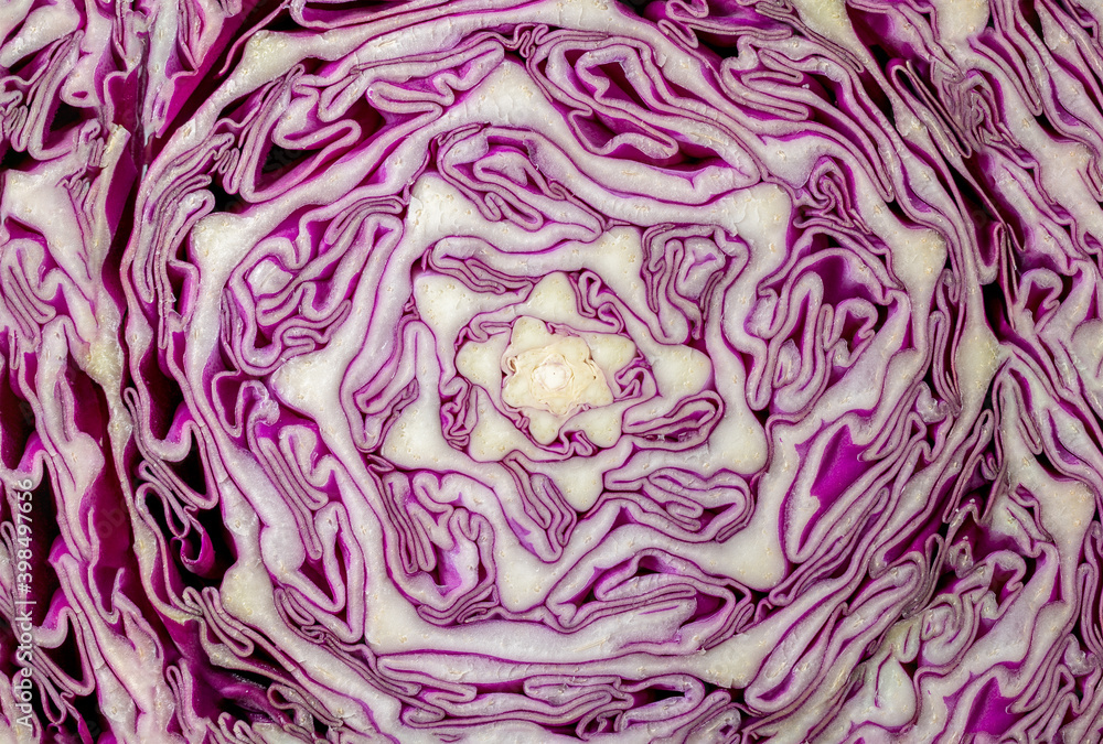Obraz premium Fresh purple cabbage slide texture background