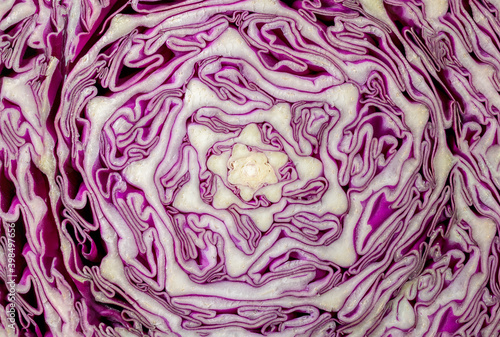 Fresh purple cabbage slide texture background