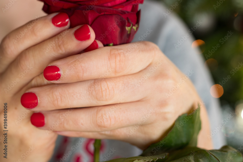 Close ups of a woman's hand with red nail polish holding a red rose, selective focus
