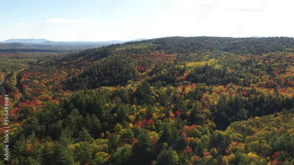 Sunny Autumn Day and Landscape of New Hampshire USA. Aerial View of Vivid Forest in Rural Countryside, Colorful Foliage of Deciduous and Coniferous Trees, Drone Shot