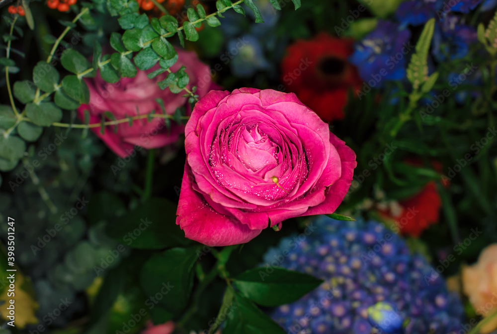 Close-up of a mixed bouquet of roses,summer flowers background. Close-up of a mixed bouquet of roses,summer flowers background.