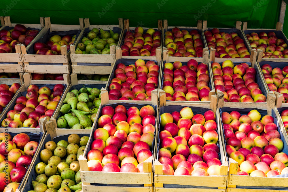 apples and pears in wooden boxen. Market. apples and pears in wooden boxen. Market.