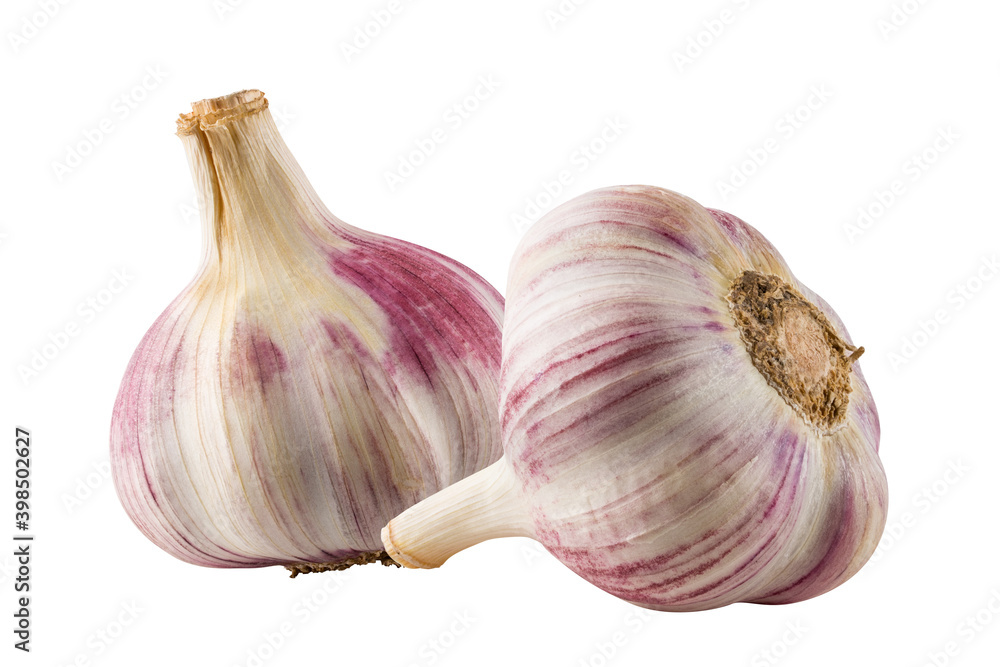 Obraz premium Garlic isolated on white background