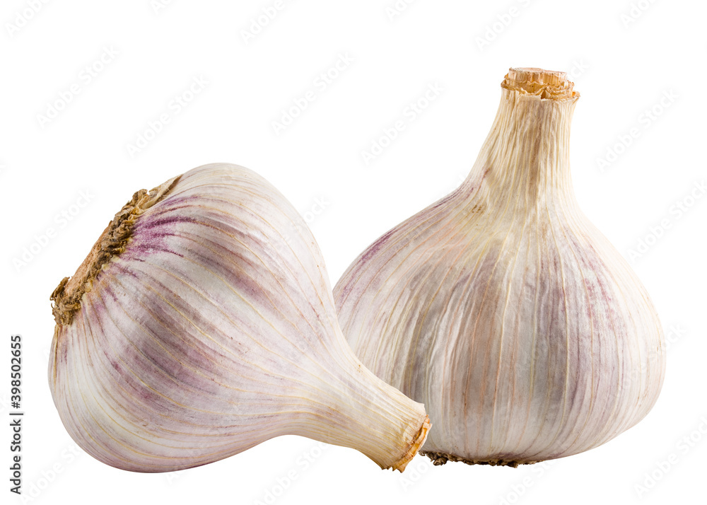 Obraz premium Garlic isolated on white background