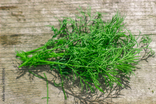 Fresh green dill on wooden table. Top view. Healthy food background.