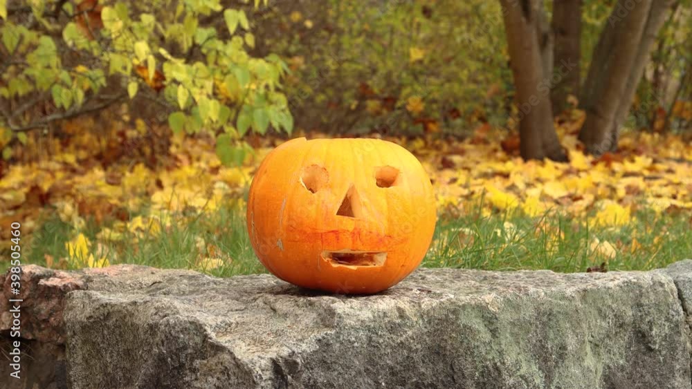 Static shot of jack-o'-lantern placed on rock in front of Autumn leaves Static shot of jack-o'-lantern placed on rock in front of Autumn leaves