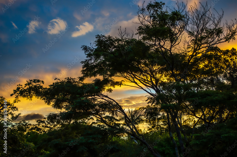 Fototapeta premium amazing sunset from home