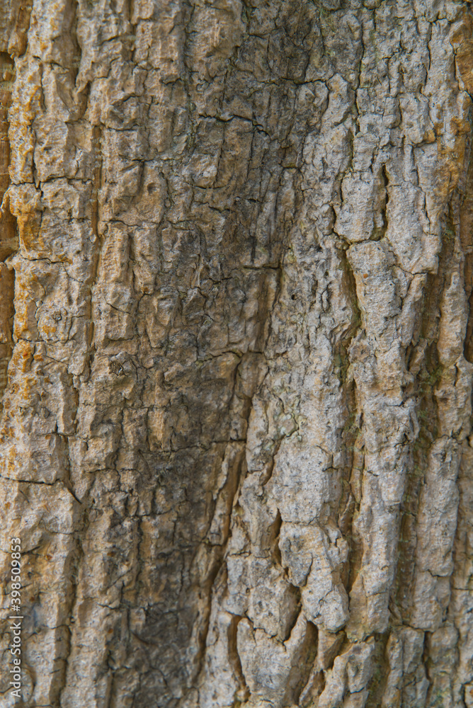 Old brown wooden wall background texture close up. Old brown wooden wall background texture close up.