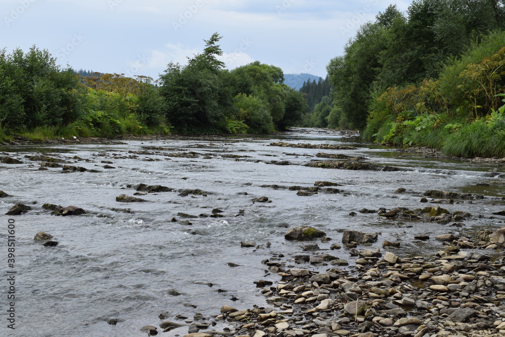 Obraz premium mountain river in the Carpathians