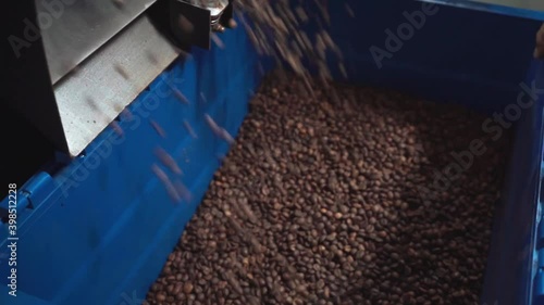 Wallpaper Mural slow motion of roasted coffee beans falling in box Torontodigital.ca