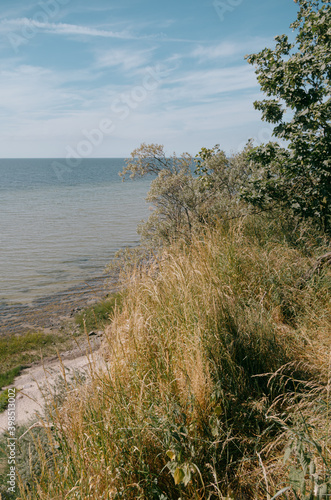 Blick durch die Vegetation auf die Ostsee