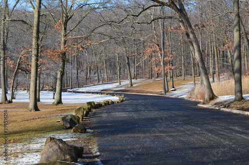 A country road with snow and trees