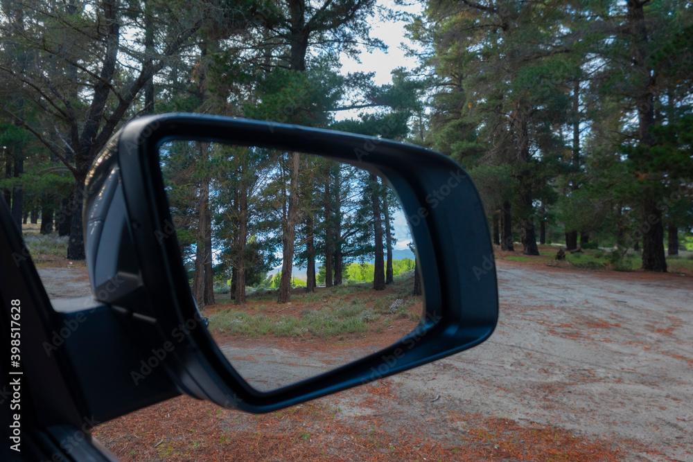 Traveling through pine plantation with view of trees ahead and in rear vision mirror.