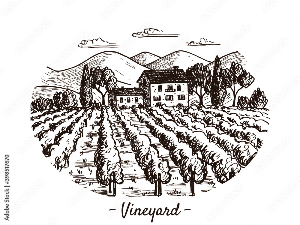 A sketch of a vineyard landscape. Handmade illustration. There are beautiful views of mountains, trees, houses, clouds and plantations. Suitable for decorating wine and natural products.