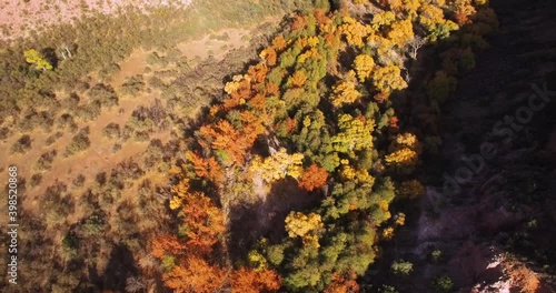 Overhead aerial shot of the changing leaves in Sycamore Canyon, Northern Arizona photo