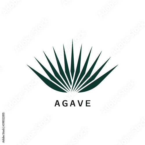 Agave icon design isolated on white background. Vector illustration