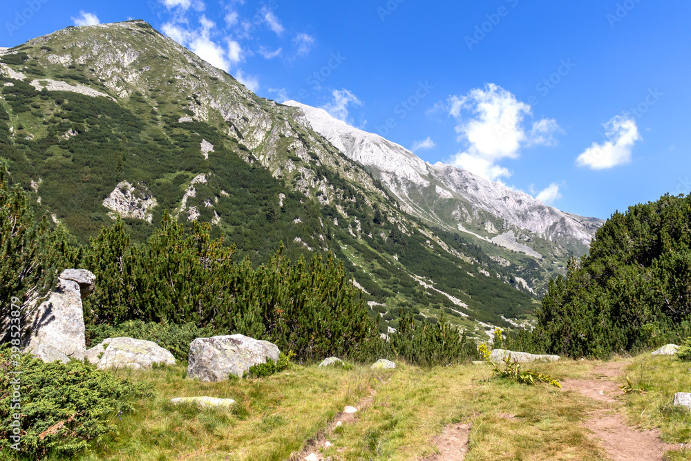 Banderitsa River Valley, Pirin Mountain, Bulgaria Banderitsa River Valley, Pirin Mountain, Bulgaria