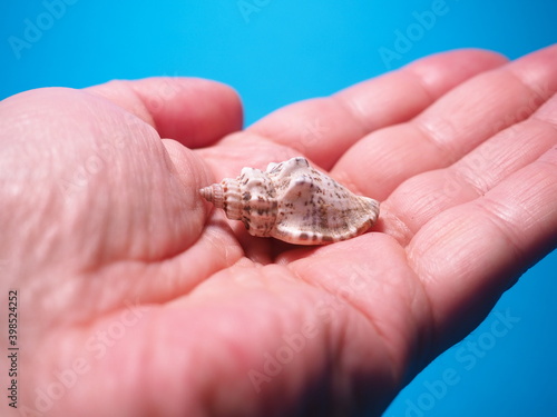 Seashells in hand. Environment protection. Ocean and marine pollution. Global warming