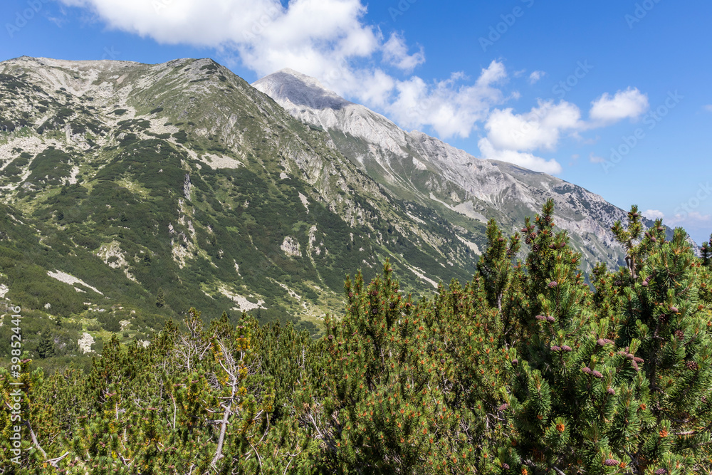 Banderitsa River Valley, Pirin Mountain, Bulgaria Banderitsa River Valley, Pirin Mountain, Bulgaria