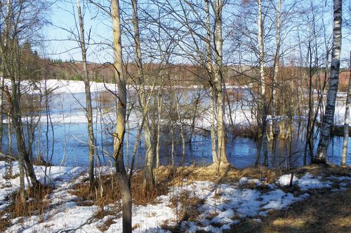 river in the forest © Irina