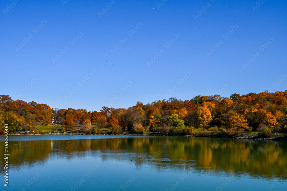 Autumn Landscape with pond and beautiful foliage Autumn Landscape with pond and beautiful foliage