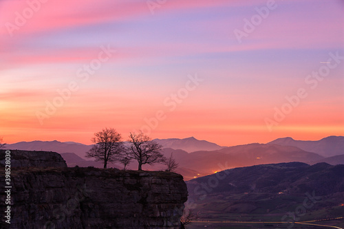 Silhouettes of bare trees growing at edge of steep cliff at dawn