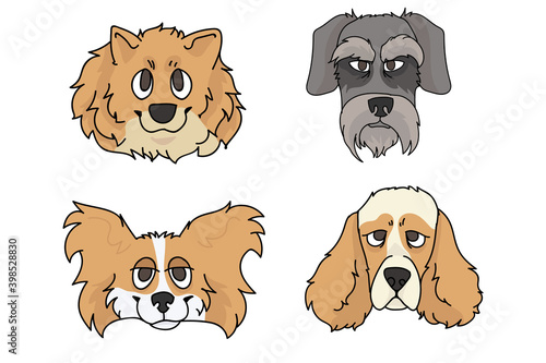 Cute cartoon dog breed set vector. Pedigree kennel spitz, papillon and schnauzer for dog lovers. Purebred cocker spaniel illustration. Isolated hunting hound. 