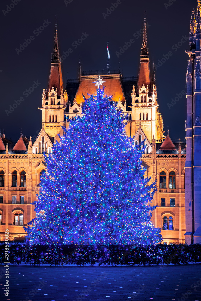 Traditional Giant christmas tree on Kossuth Square opposite the Hungarian Parliament building.