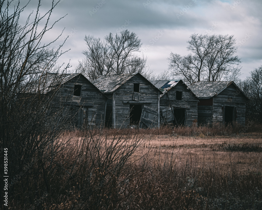 Fototapeta premium abandoned prairie homestead