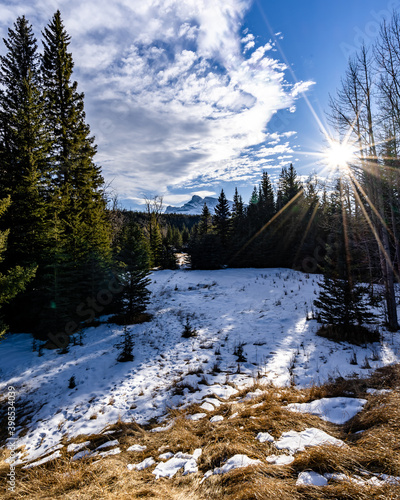sunstar mountain trees